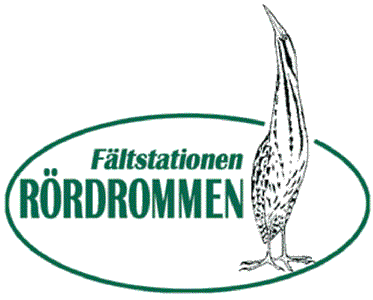 Rördrommen